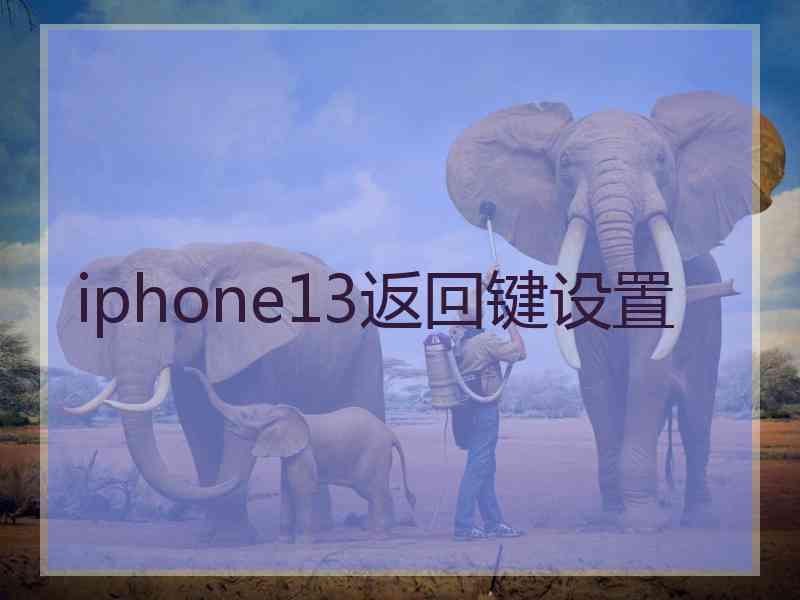 iphone13返回键设置