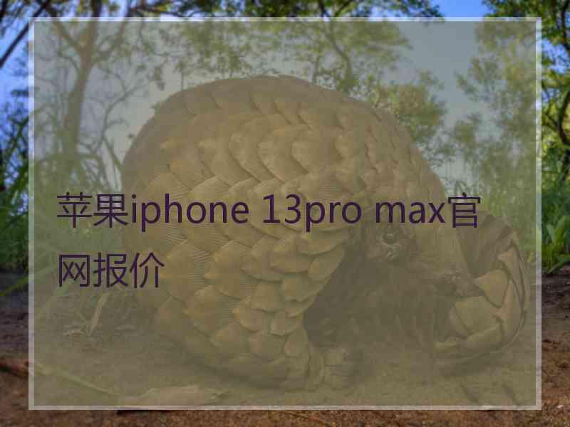 苹果iphone 13pro max官网报价