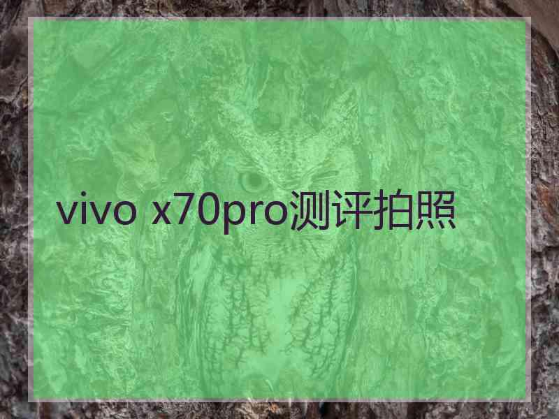 vivo x70pro测评拍照