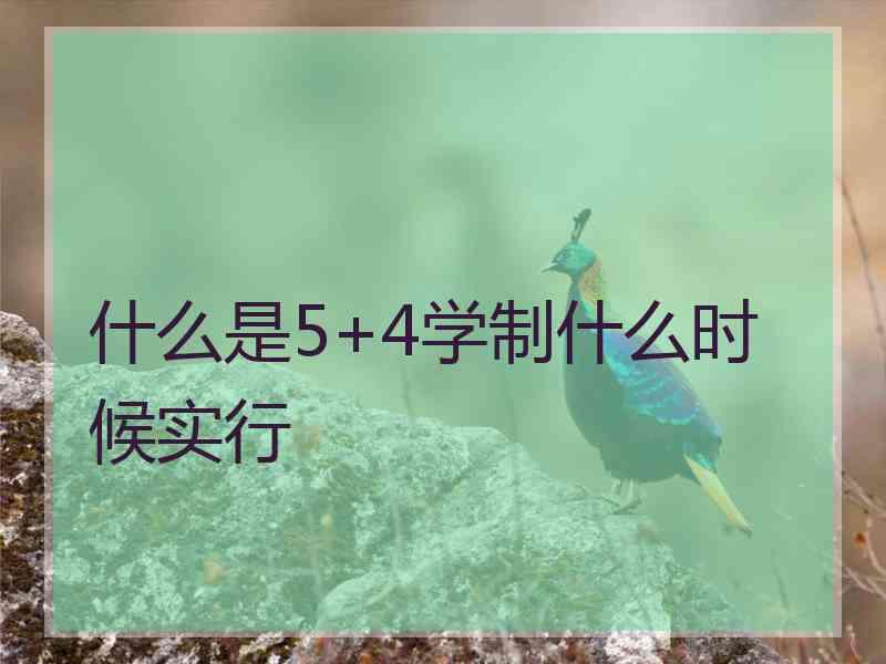 什么是5+4学制什么时候实行