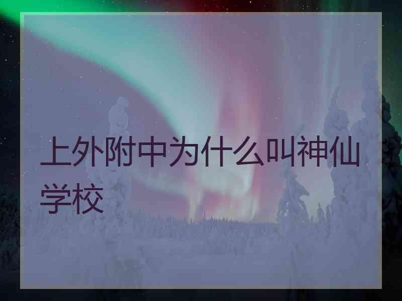 上外附中为什么叫神仙学校