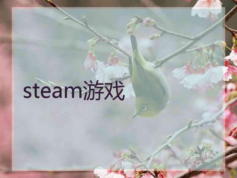 steam游戏