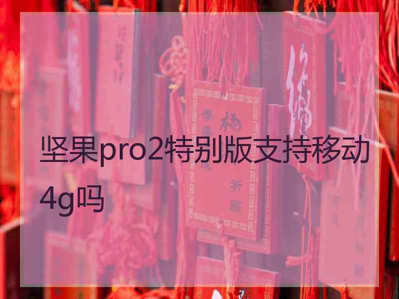 坚果pro2特别版支持移动4g吗