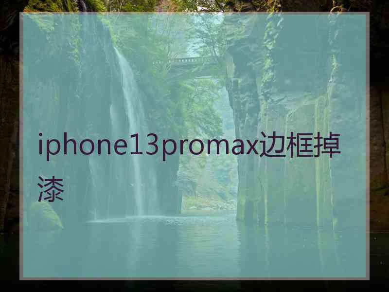 iphone13promax边框掉漆