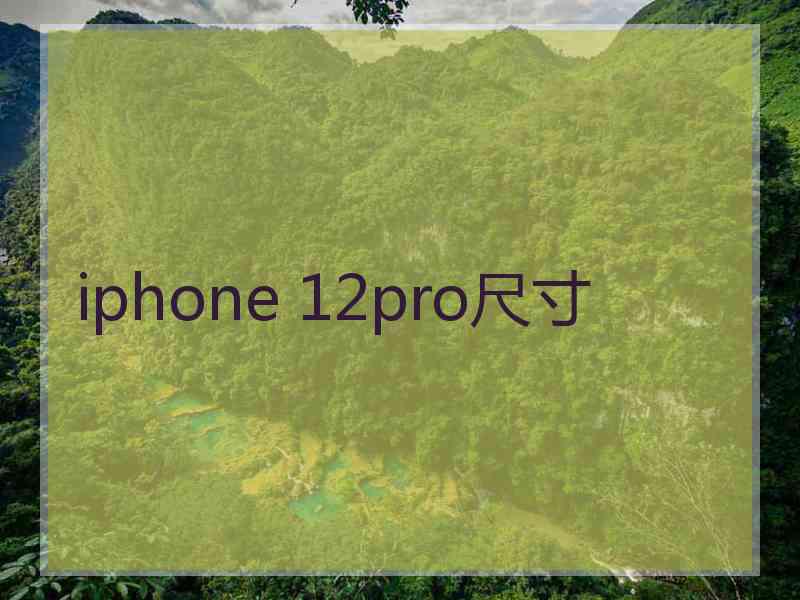 iphone 12pro尺寸