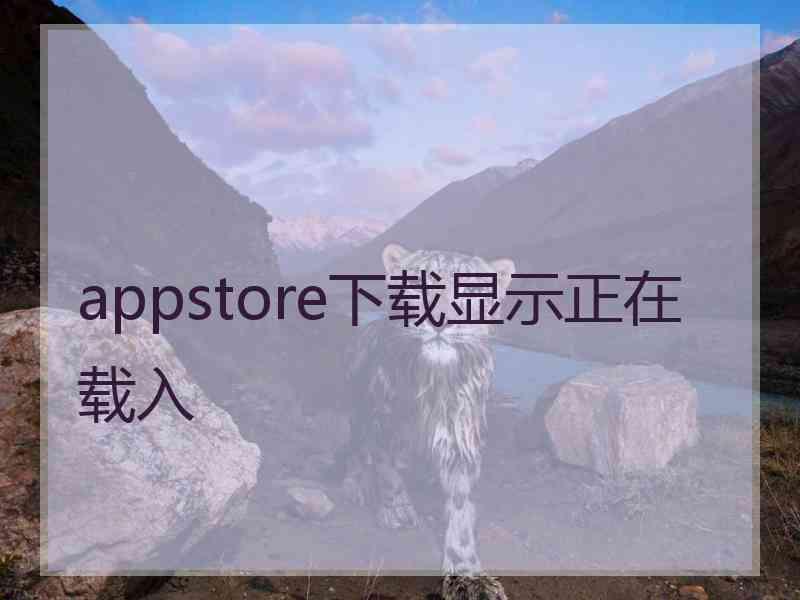 appstore下载显示正在载入