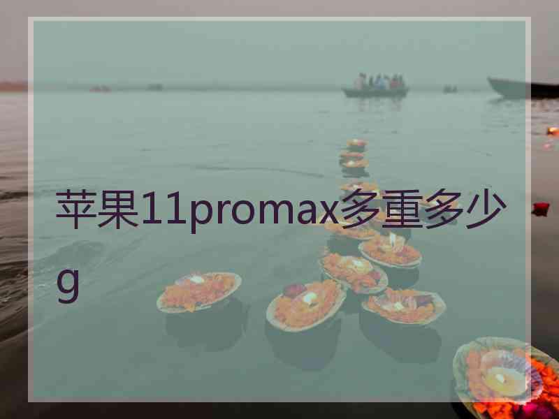 苹果11promax多重多少g