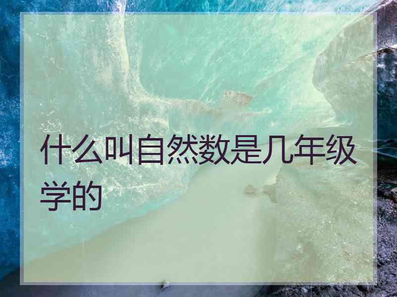 什么叫自然数是几年级学的