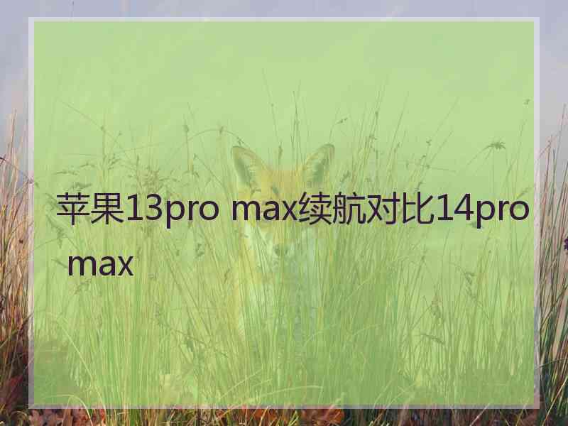 苹果13pro max续航对比14pro max