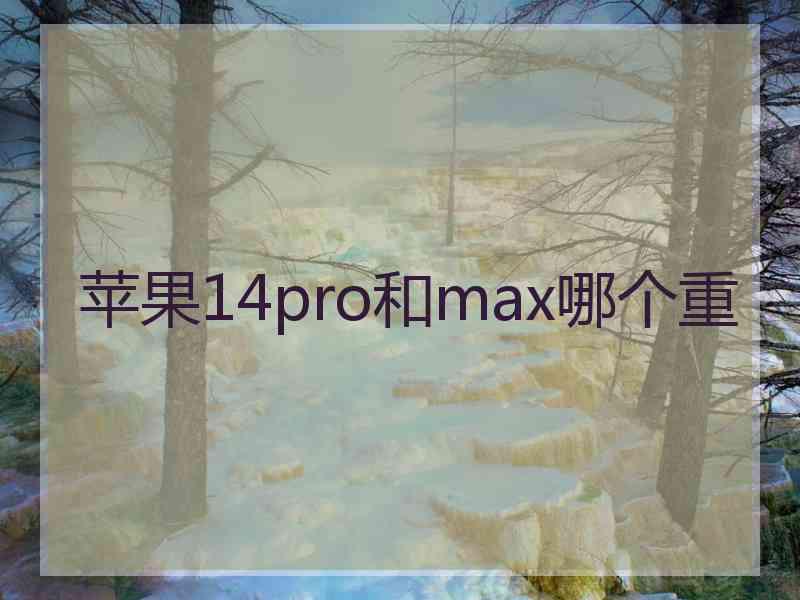 苹果14pro和max哪个重