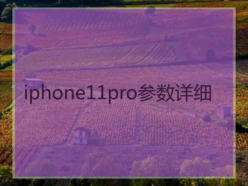 iphone11pro参数详细