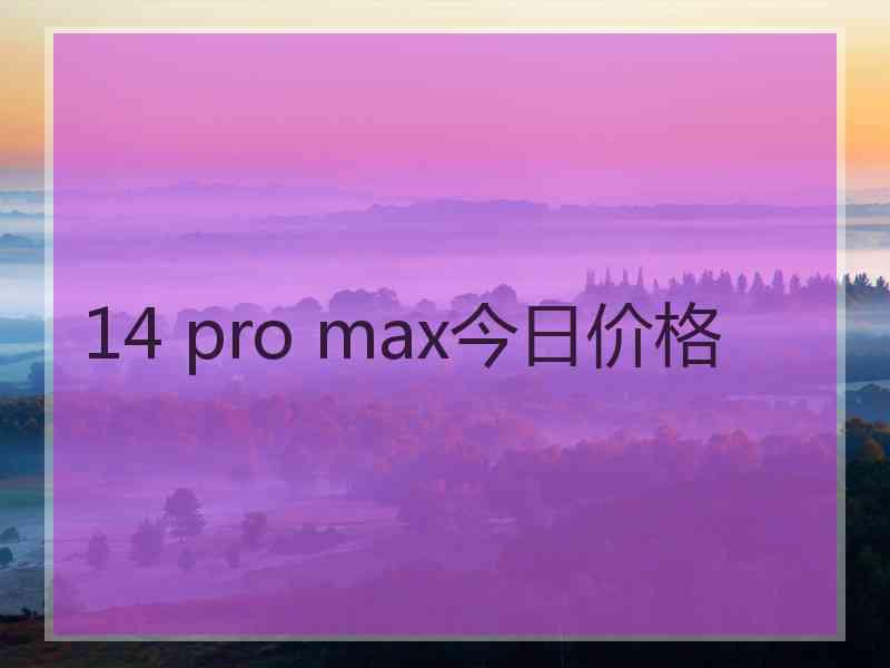 14 pro max今日价格