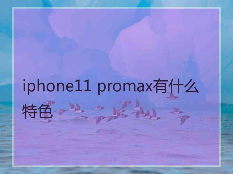 iphone11 promax有什么特色