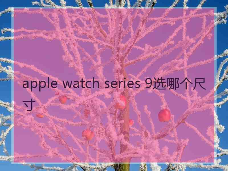 apple watch series 9选哪个尺寸