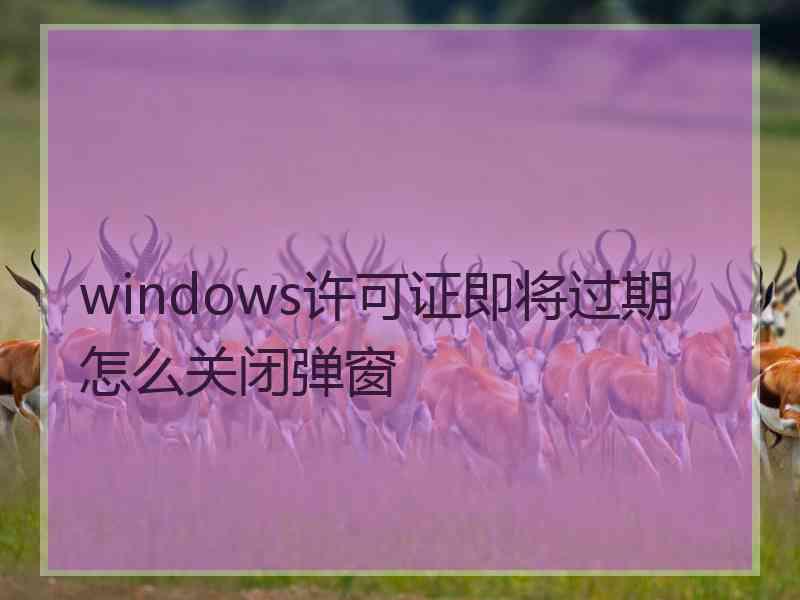 windows许可证即将过期怎么关闭弹窗