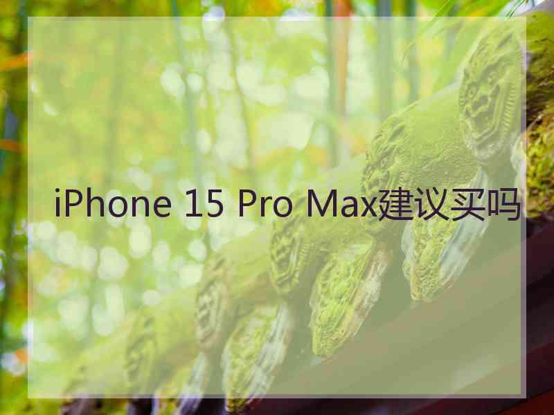 iPhone 15 Pro Max建议买吗