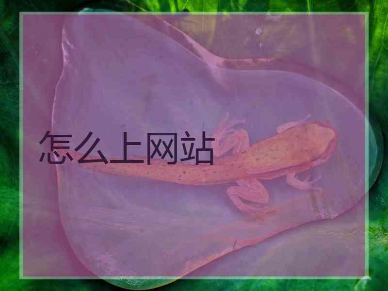 怎么上网站