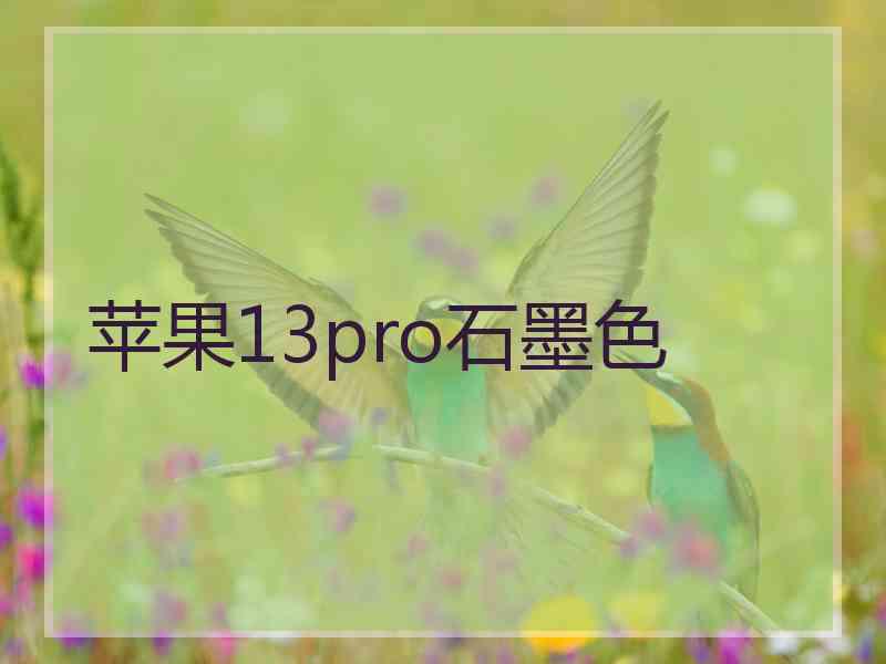 苹果13pro石墨色