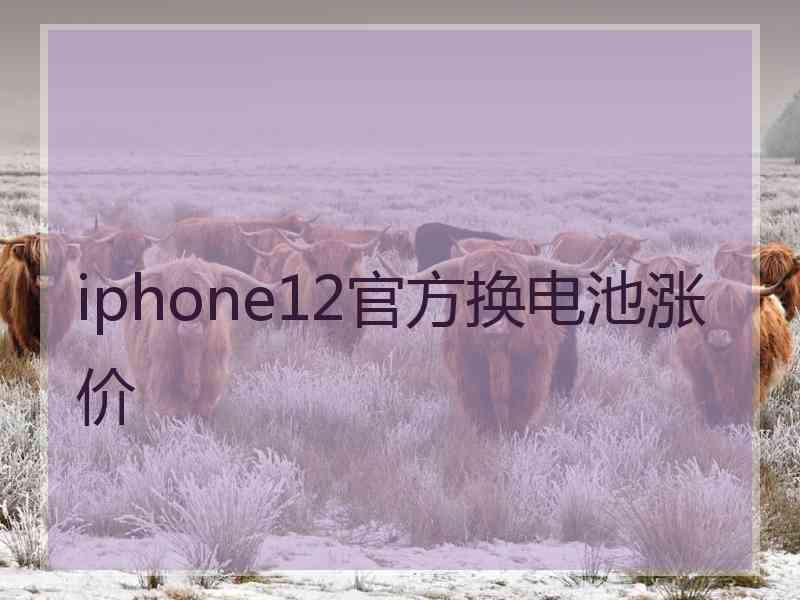 iphone12官方换电池涨价