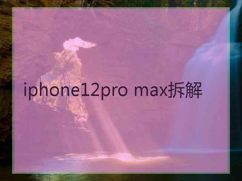 iphone12pro max拆解