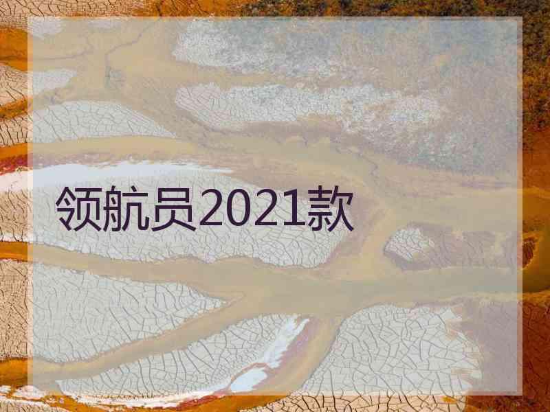 领航员2021款