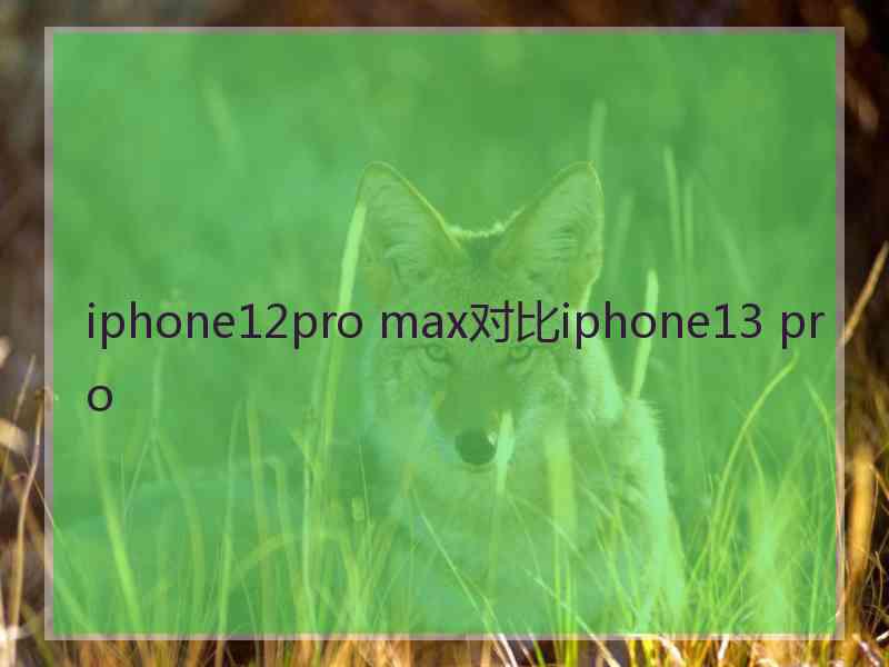 iphone12pro max对比iphone13 pro