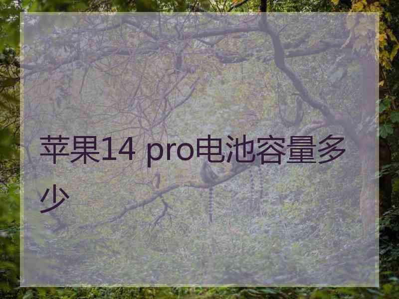 苹果14 pro电池容量多少