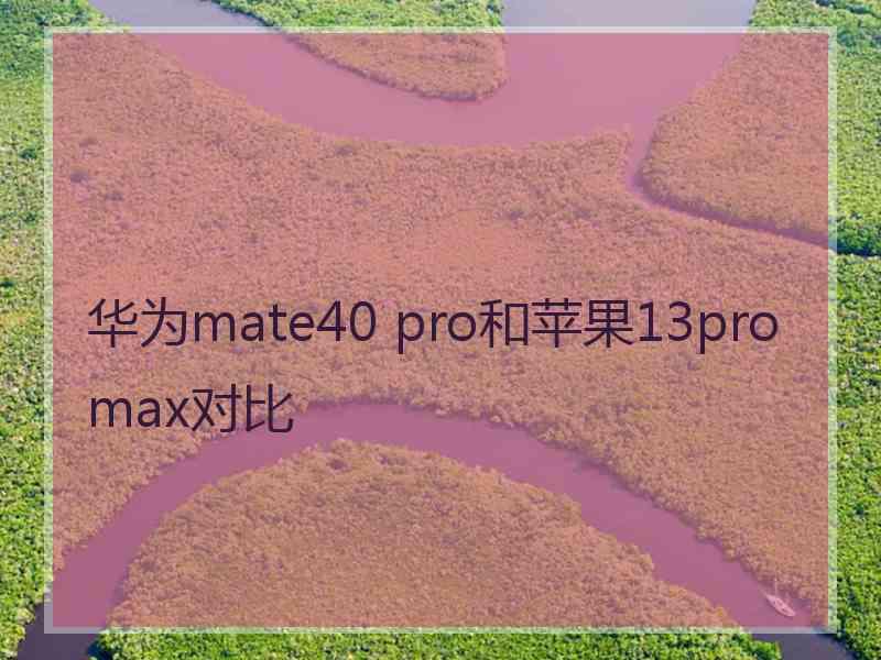 华为mate40 pro和苹果13promax对比