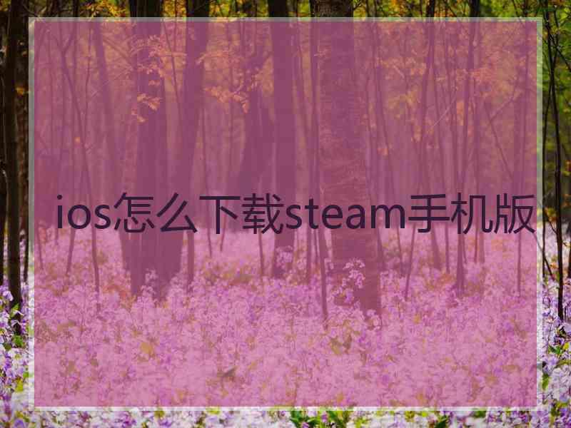 ios怎么下载steam手机版