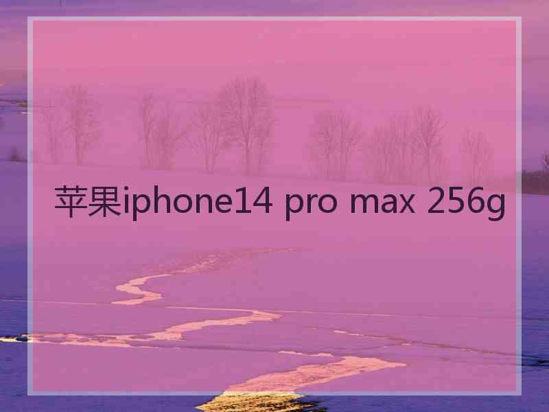 苹果iphone14 pro max 256g