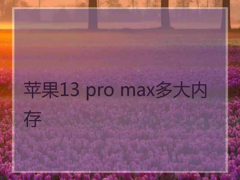 苹果13 pro max多大内存