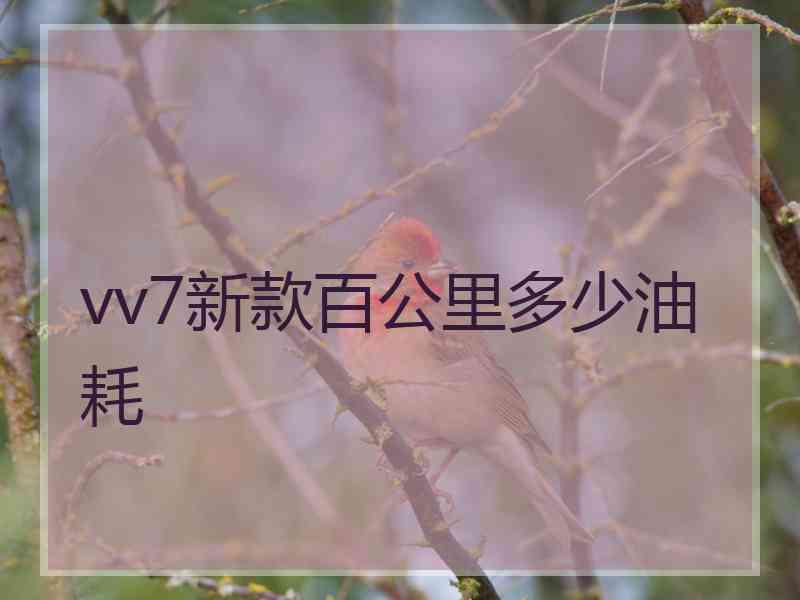 vv7新款百公里多少油耗