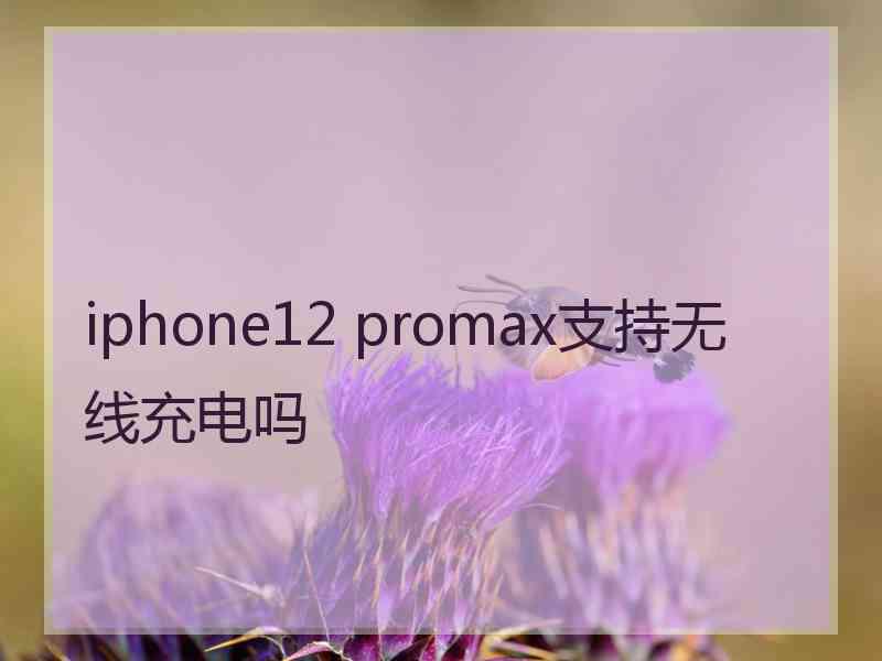 iphone12 promax支持无线充电吗