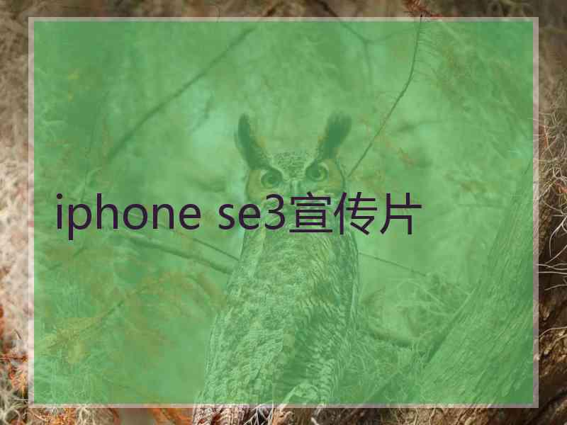 iphone se3宣传片