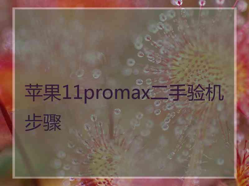 苹果11promax二手验机步骤