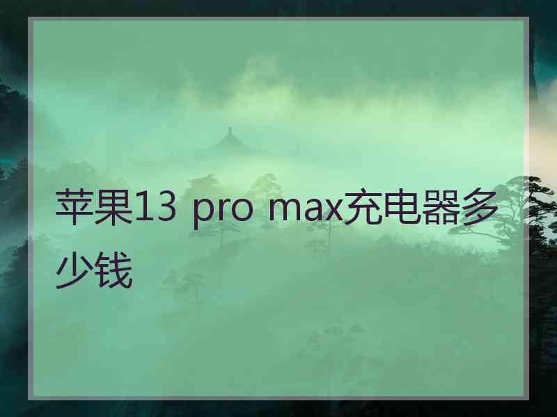 苹果13 pro max充电器多少钱