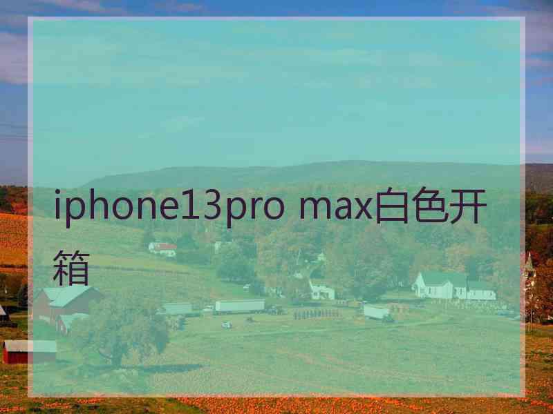 iphone13pro max白色开箱