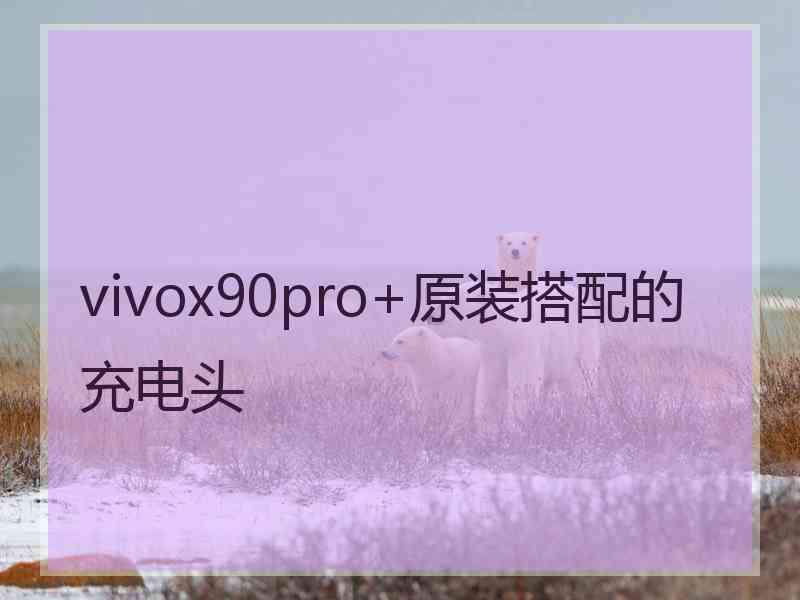 vivox90pro+原装搭配的充电头