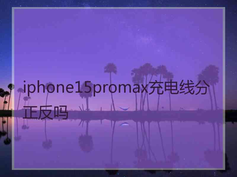 iphone15promax充电线分正反吗