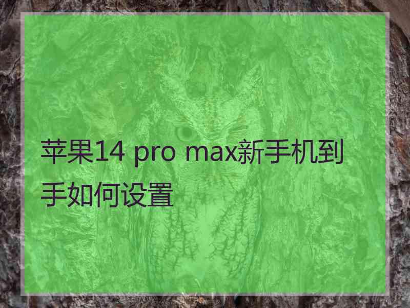 苹果14 pro max新手机到手如何设置