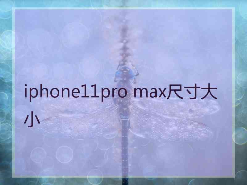 iphone11pro max尺寸大小