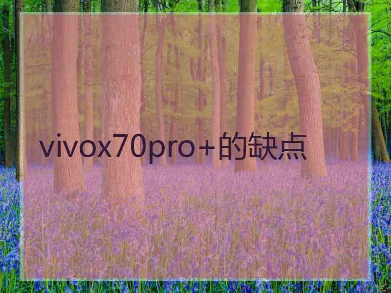 vivox70pro+的缺点