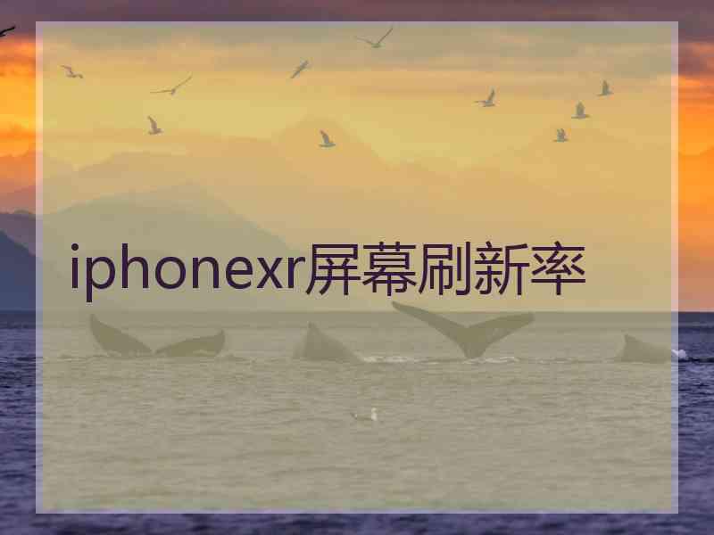 iphonexr屏幕刷新率