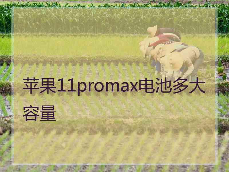 苹果11promax电池多大容量