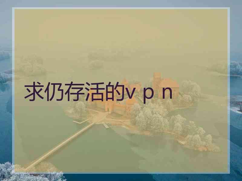 求仍存活的v p n