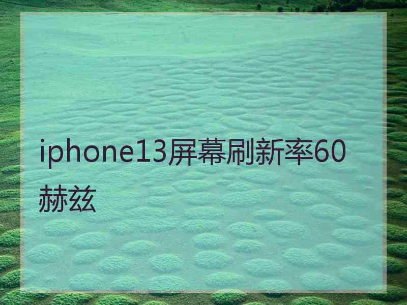 iphone13屏幕刷新率60赫兹