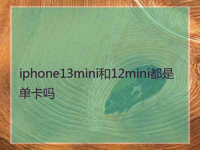 iphone13mini和12mini都是单卡吗