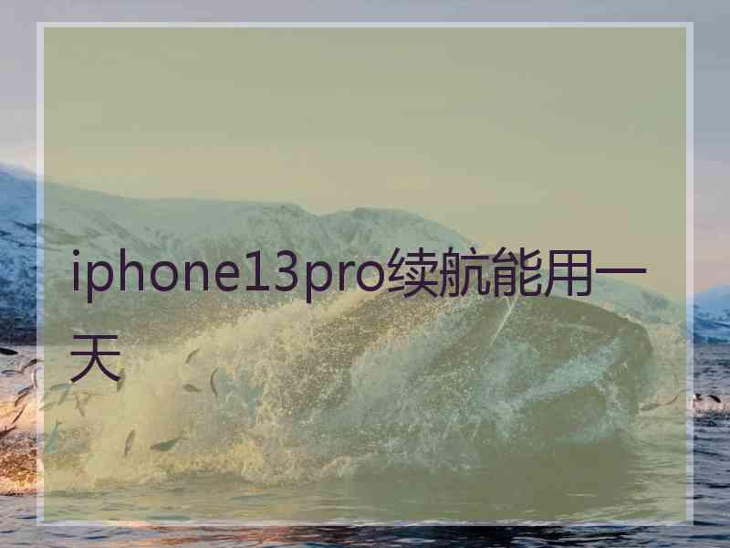 iphone13pro续航能用一天