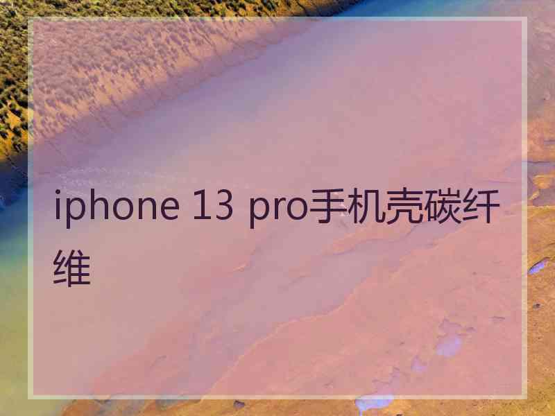 iphone 13 pro手机壳碳纤维