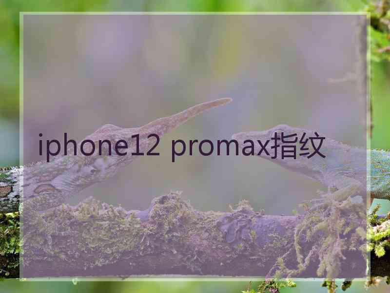 iphone12 promax指纹